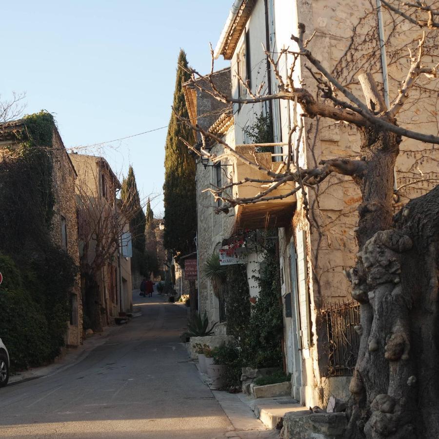 Mas Grimaud - Gite- Studio Et Chambres D'Hotes Familiales エガリエール エクステリア 写真